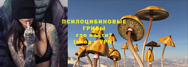 стаф Балахна