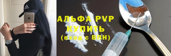 стаф Володарск
