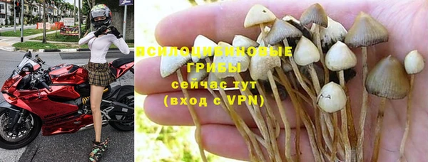 шишки Балабаново