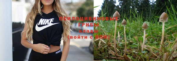 мяу мяу мука Арсеньев