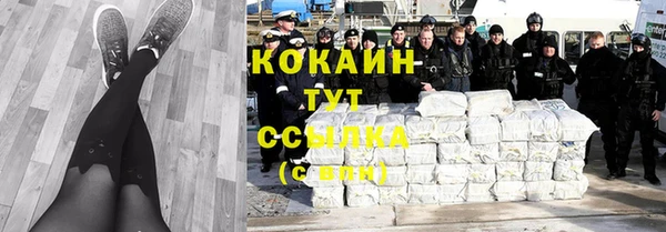 стаф Балахна