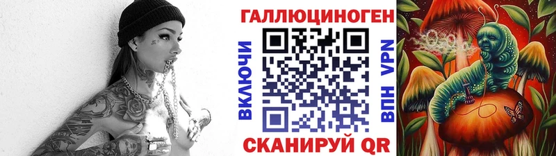 купить   Лагань  Галлюциногенные грибы Psilocybine cubensis 